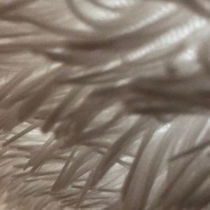 Meet your Posher, Syd